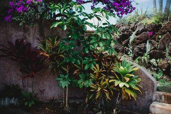 The Palmwood Anahola Exterior foto
